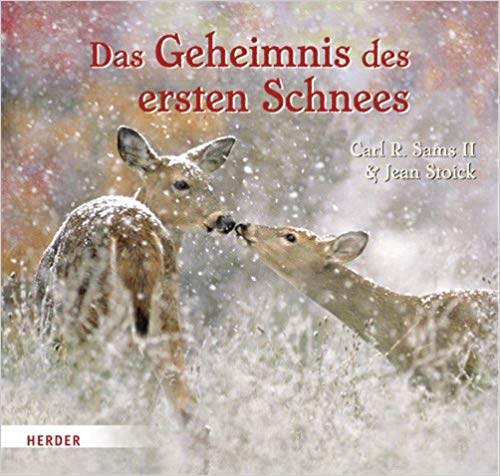 Das Geheimnis des ersten Schnees