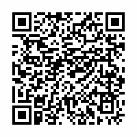 QR Code für Museumsnacht Zwickau