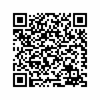 QR Code für Buchsommer